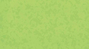 Линолеум Taralay Premium Compact Osmoz 4527 BAMBOO фото 1 | FLOORDEALER